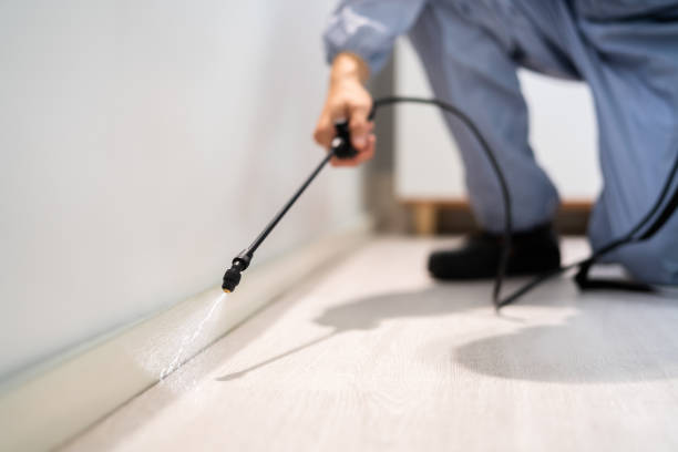 Licensed Cockroach Control service in Holualoa, HI - Nex Pest Control
