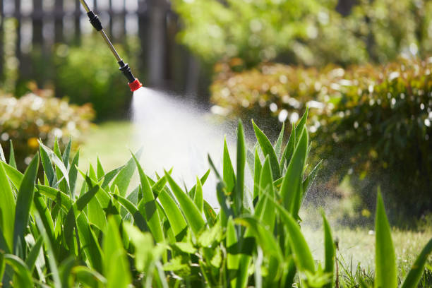 24/7 Emergency Cockroach Control experts in Holualoa, HI