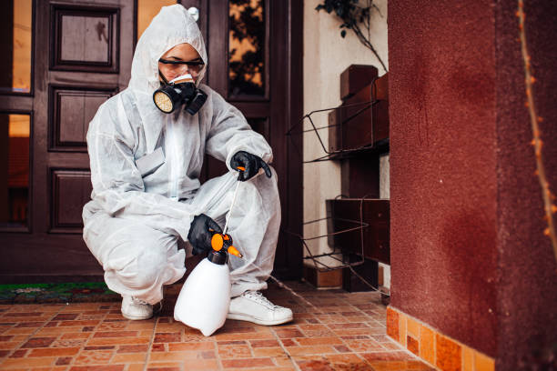 Reliable Cockroach Control contractor in Holualoa, HI by Nex Pest Control