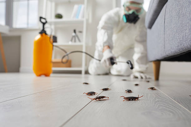 Trusted Fumigation Services service in Holualoa, HI - Nex Pest Control