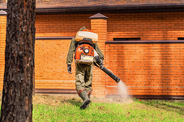 Trusted Cockroach Control service in Holualoa, HI - Nex Pest Control